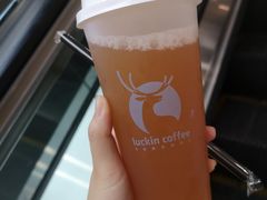 -鱼酷活鱼烤鱼(沈阳大悦城店)