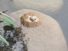 -四海公园(南山区)