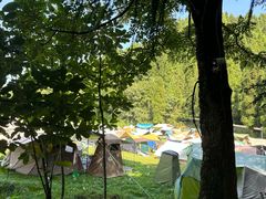 -武陵山森林公园