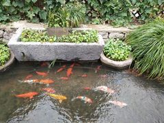 -前童古镇