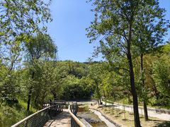 -白水寺森林公园