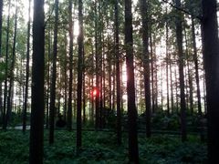 android_upload_pic-上海怡沁园度假酒店