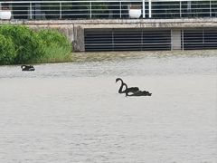 -厦门国家会计学院