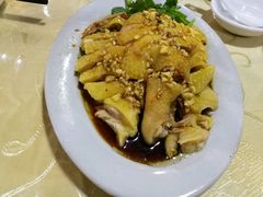 -七哥饭店好吃的客家菜(广电路店)