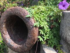 -胡里山炮台