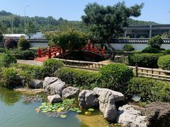 -东方艺术博物馆