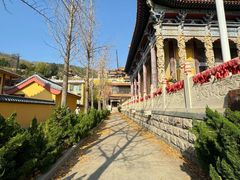 -正觉寺