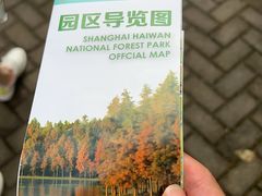 -上海海湾国家森林公园