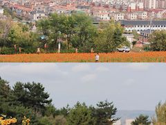 -帽儿山国家森林公园