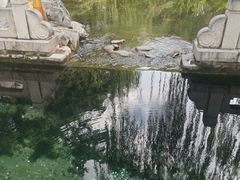 -趵突泉景区