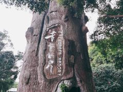 -青青世界