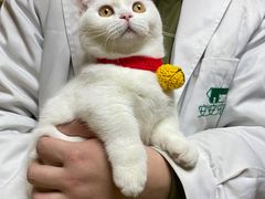 -安安宠医·安宠宠物医院