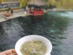 -百脉泉景区