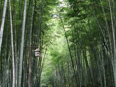 -湾里人家(旺山景区店)