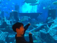 -亚特兰蒂斯水世界冒险乐园