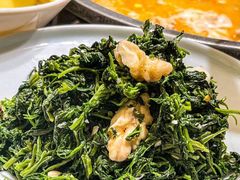-羊瑞堂·横山炖羊肉·陕菜(未央路旗舰店)
