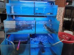 -韩妹鱼庄·泸定老字号(泸定店)