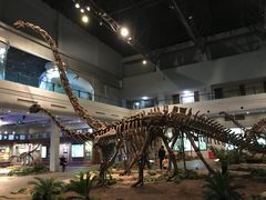 -自贡恐龙博物馆