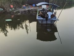 -白洋淀景区