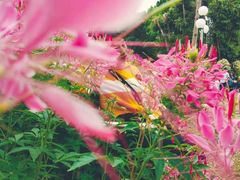 -人民公园(罗湖区)