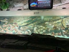 -泉城欧乐堡海洋极地世界