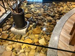 -小城粥道·海胆鲜虾粥(解放广场店)