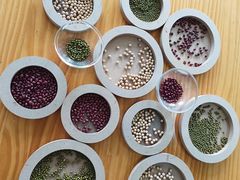 -新加坡伊顿上海马雅思幼儿园