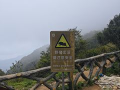 -梧桐山风景名胜区