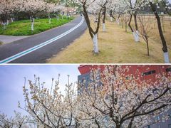 -国际非物质文化遗产博览园