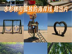 -日照海滨国家森林公园