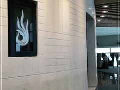 -虹桥机场国航贵宾室v8