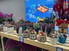 -丽达购物中心(崂山店)
