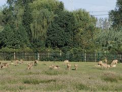 -溱湖国家湿地公园