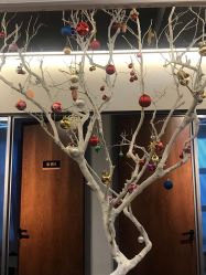 -FineYoga梵音瑜伽·普拉提