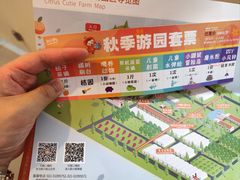 -前小桔亲子创意农场·草莓采摘·露营烧烤