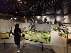 -北京周口店北京人遗址博物馆