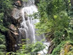 -大围山国家森林公园