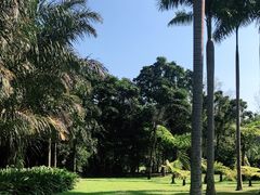 -中国科学院西双版纳热带植物园