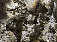 -湖南省地质博物馆