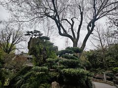-成都武侯祠博物馆