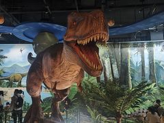 -陕西自然博物馆