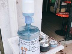-台场海滨公园船码头