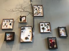 -dotcom coffee古点咖啡(致真大厦店)