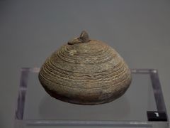 -鸿山遗址博物馆