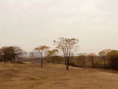 -盘龙城国家考古遗址公园