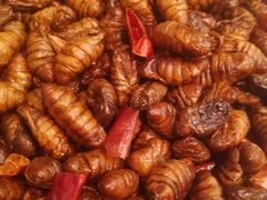 -农家小院(朱雀桥店)