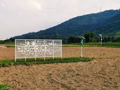 -艾米稻香小镇