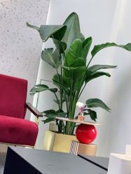 -JUNO hair salon