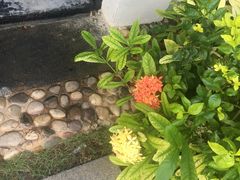 -三亚亚龙湾雅高铂尔曼别墅度假酒店