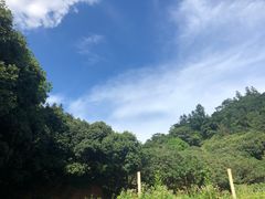 -清溪森林公园